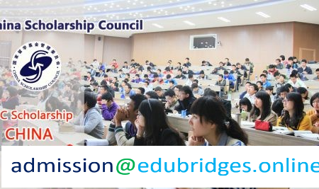 edu bridges 1-logo